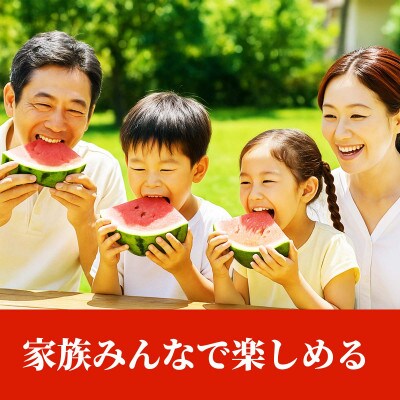 大玉すいか S以上 2玉 約4kg(玉名市)