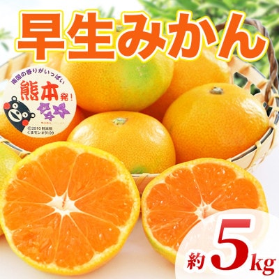 早生みかん 2S～2L 約5kg(玉名市)