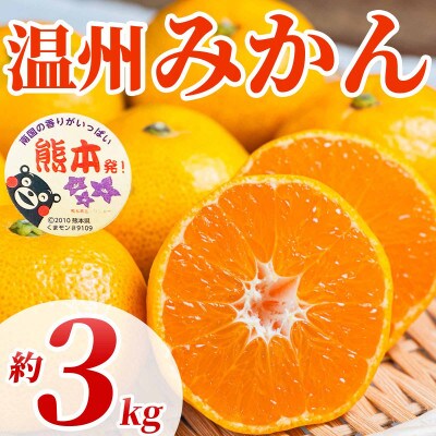 温州みかん 2S～2L 約3kg(玉名市)