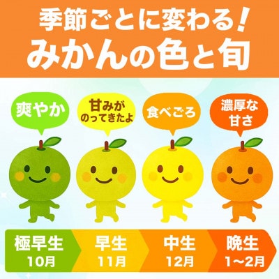 温州みかん 2S～2L 約3kg(玉名市)