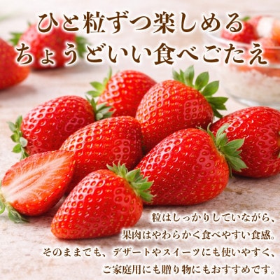 いちご 約1kg(250g×4パック)(玉名市)