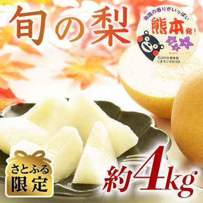 【さとふる限定】数量限定 秋のフルーツおすすめ! 熊本県産旬の梨(豊水・秋月・新高)約4kg 玉名市