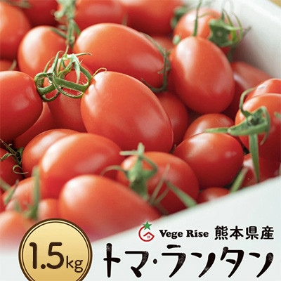 ミニトマト「トマランタン」1.5kg