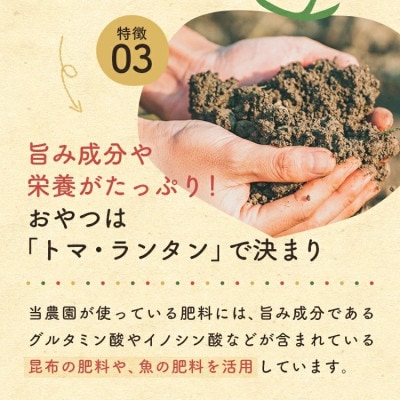 ミニトマト「トマランタン」3kg