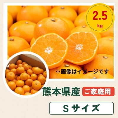 【ご家庭用】熊本 みかん 2.5kg Sサイズ 訳あり【10月上旬より順次発送】(玉名市)