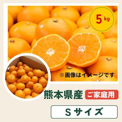 【ご家庭用】熊本 みかん 5kg Sサイズ 訳あり【10月上旬より順次発送】(玉名市)