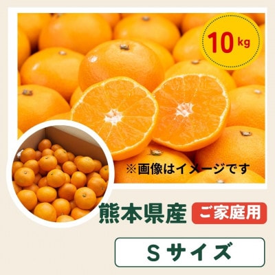 【ご家庭用】熊本 みかん 10kg Sサイズ 訳あり【10月上旬より順次発送】(玉名市)