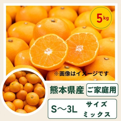 【ご家庭用】熊本 みかん 5kg 　混合サイズ　 訳あり【10月上旬より順次発送】(玉名市)