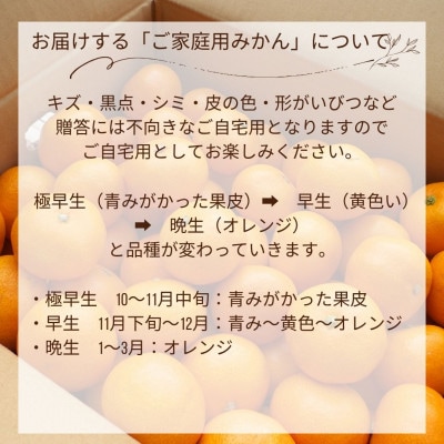 【ご家庭用】熊本 みかん 5kg 　混合サイズ　 訳あり【10月上旬より順次発送】(玉名市)