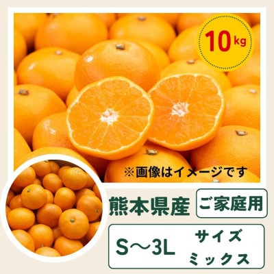 【ご家庭用】熊本 みかん 10kg サイズ混合 訳あり【10月上旬より順次発送】(玉名市)