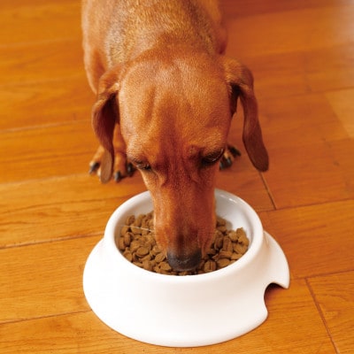 犬の雑穀ごはんアダルト3kg(玉名市)