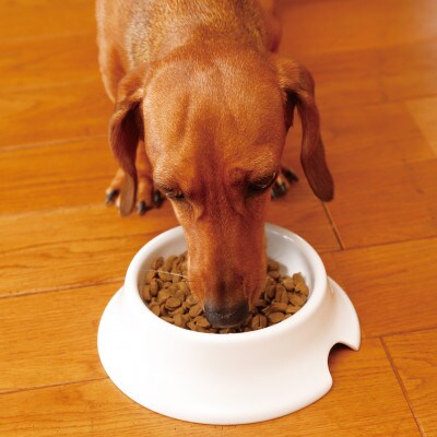 犬の雑穀ごはんアダルト800g(玉名市)