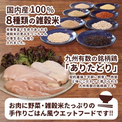 アニマル・ワン　犬の雑穀ごはんたきこみ(チキン)100g×10袋(玉名市)