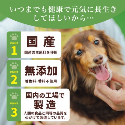 アニマル・ワン　犬の雑穀ごはんたきこみ(チキン)100g×10袋(玉名市)