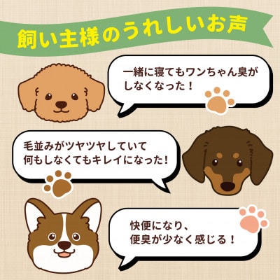 アニマル・ワン　犬の雑穀ごはんたきこみ(チキン)100g×10袋(玉名市)