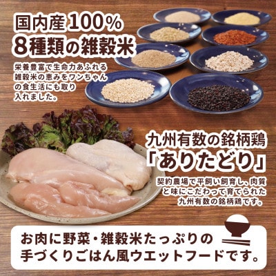 アニマル・ワン 犬の雑穀ごはんぞうすい(チキン)100g×10P(玉名市)