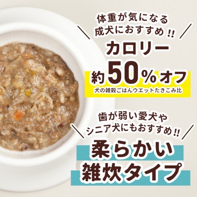 アニマル・ワン 犬の雑穀ごはんぞうすい(チキン)100g×10P(玉名市)