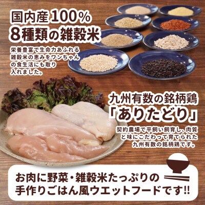 愛犬の健康維持に!犬の雑穀ごはんウェット機能性たきこみ(チキン)100g×10袋(玉名市)
