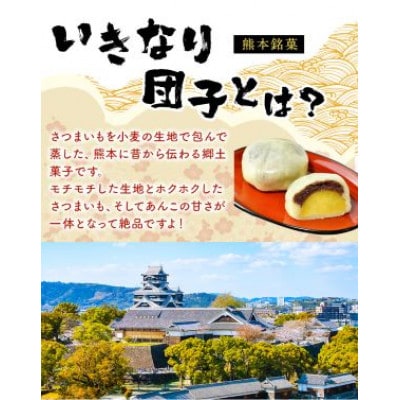 いきなり団子16個　個包装・風呂敷包み