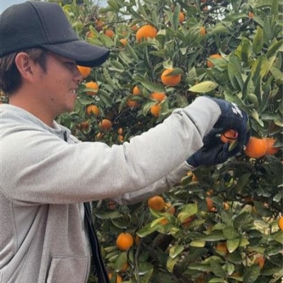 【訳あり】甘味と酸味の絶妙なバランス　後藤農園の温州みかん　約3kg(玉名市)