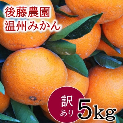 【訳あり】甘味と酸味の絶妙なバランス　後藤農園の温州みかん　約5kg(玉名市)