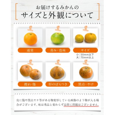 【訳あり】甘味と酸味の絶妙なバランス　後藤農園の温州みかん　約5kg(玉名市)