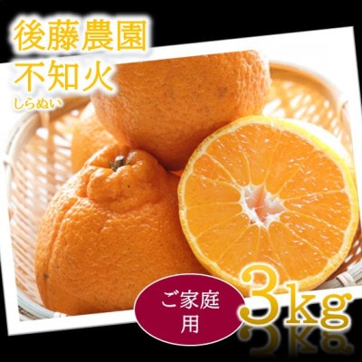 【ご家庭用】後藤農園の不知火(しらぬい)ジューシー濃厚な甘み　約3kg(玉名市)