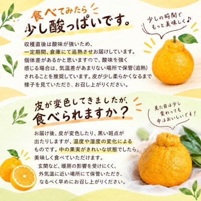 【ご家庭用】後藤農園の不知火(しらぬい)ジューシー濃厚な甘み　約3kg(玉名市)