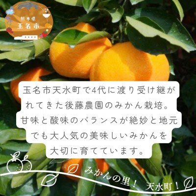 【ご家庭用】後藤農園の不知火(しらぬい)ジューシー濃厚な甘み　約3kg(玉名市)