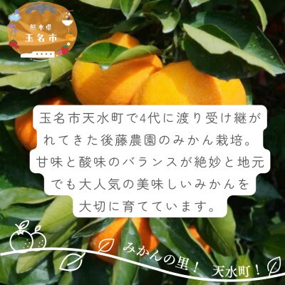 【ご家庭用】後藤農園の不知火(しらぬい)ジューシー濃厚な甘み　約8kg(玉名市)