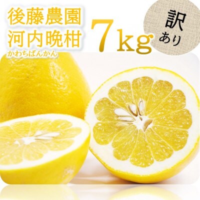 【訳あり】後藤農園の河内晩柑 約7kg(玉名市)