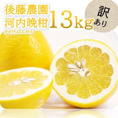 【訳あり】後藤農園の河内晩柑 約13kg(玉名市)