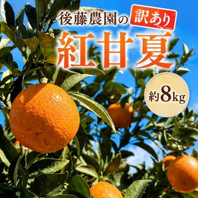 訳あり　後藤農園の紅甘夏　約8kg
