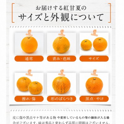 訳あり　後藤農園の紅甘夏　約8kg