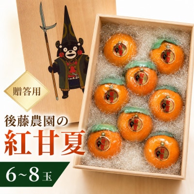 【贈答用】後藤農園の紅甘夏　6～8玉(玉名市)