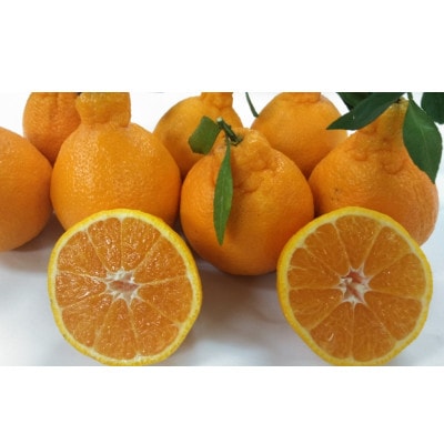 不知火 秀品 約5kg サイズ(4L～M)指定不可 デコポンと同品種(玉名市)