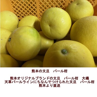 パール柑 秀品 約10kg サイズ(4L～M)指定不可(玉名市)