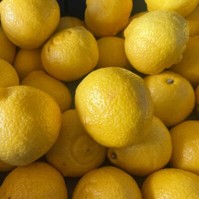 はるか 約5kg サイズ不選別 みかん(玉名市)