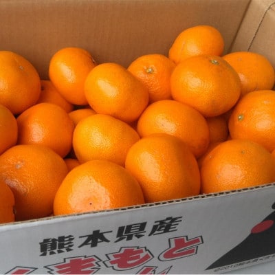 みかん 約5kg(サイズ2L-2S)(玉名市)