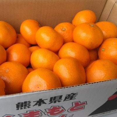 みかん 約10kg(サイズ2L-2S)(玉名市)