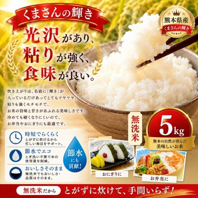 【熊本県産】 くまさんの輝き 無洗米 5kg