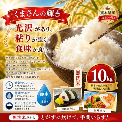 【熊本県産】 くまさんの輝き 無洗米 10kg