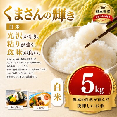 【熊本県産】 くまさんの輝き 白米 5kg