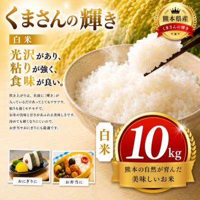 【熊本県産】 くまさんの輝き 白米 10kg
