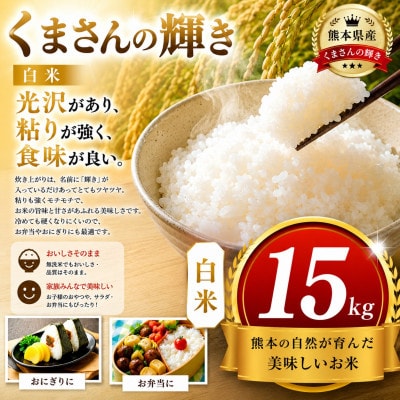 【熊本県産】 くまさんの輝き 白米 15kg