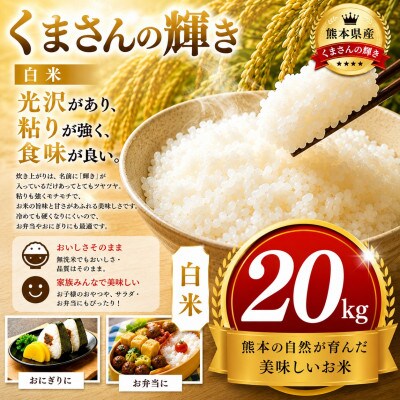 【熊本県産】 くまさんの輝き 白米 20kg