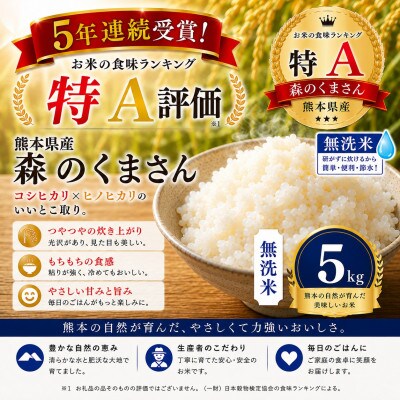 【熊本県産】 森のくまさん 無洗米 5kg