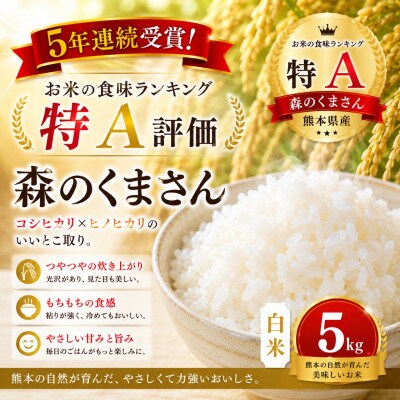 【熊本県産】 森のくまさん　白米　5kg