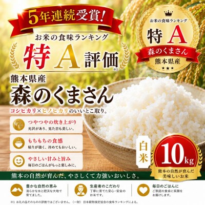 【熊本県産】 森のくまさん 白米 10kg