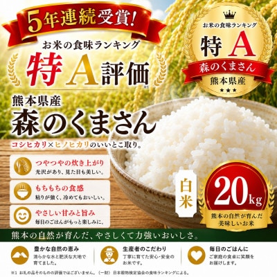 【熊本県産】 森のくまさん 白米 20kg